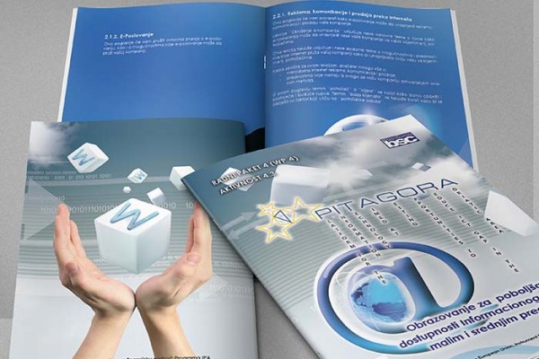 Business Consulting Brochure